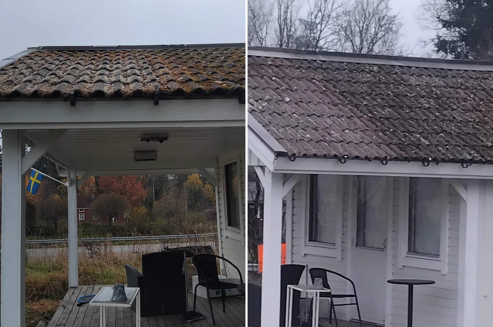 Två bilder av samma mossbevuxna tak efter tre dagar och efter sex veckor