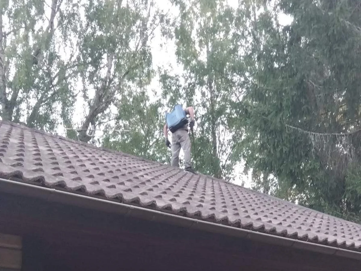 Man med ryggspruta uppe på ett tegeltak vid en veranda