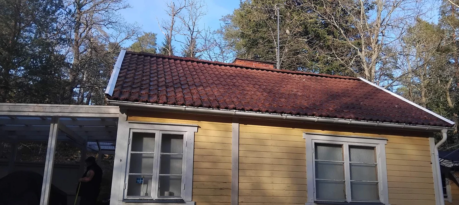 Tegeltak på en sommarstuga med rena, rödbruna pannor efter skrapning och behandling