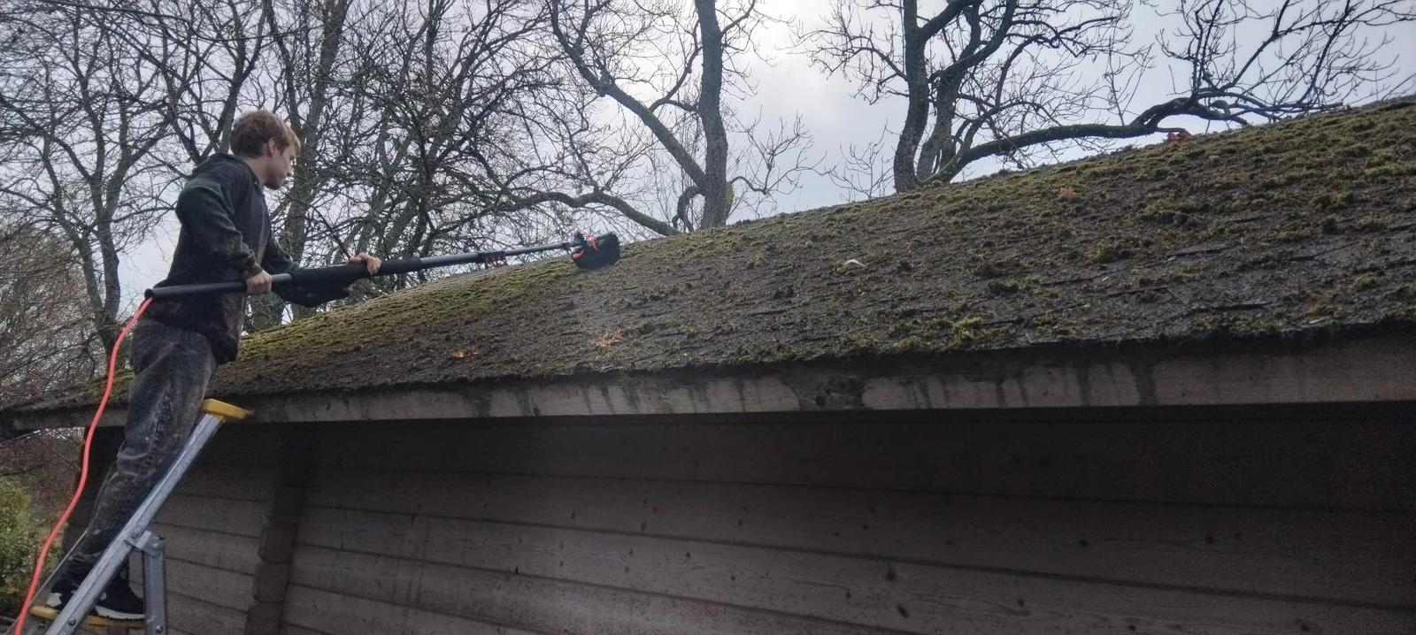 Man på stege som borstar mossa på ett shingeltak med borste på teleskopskaft