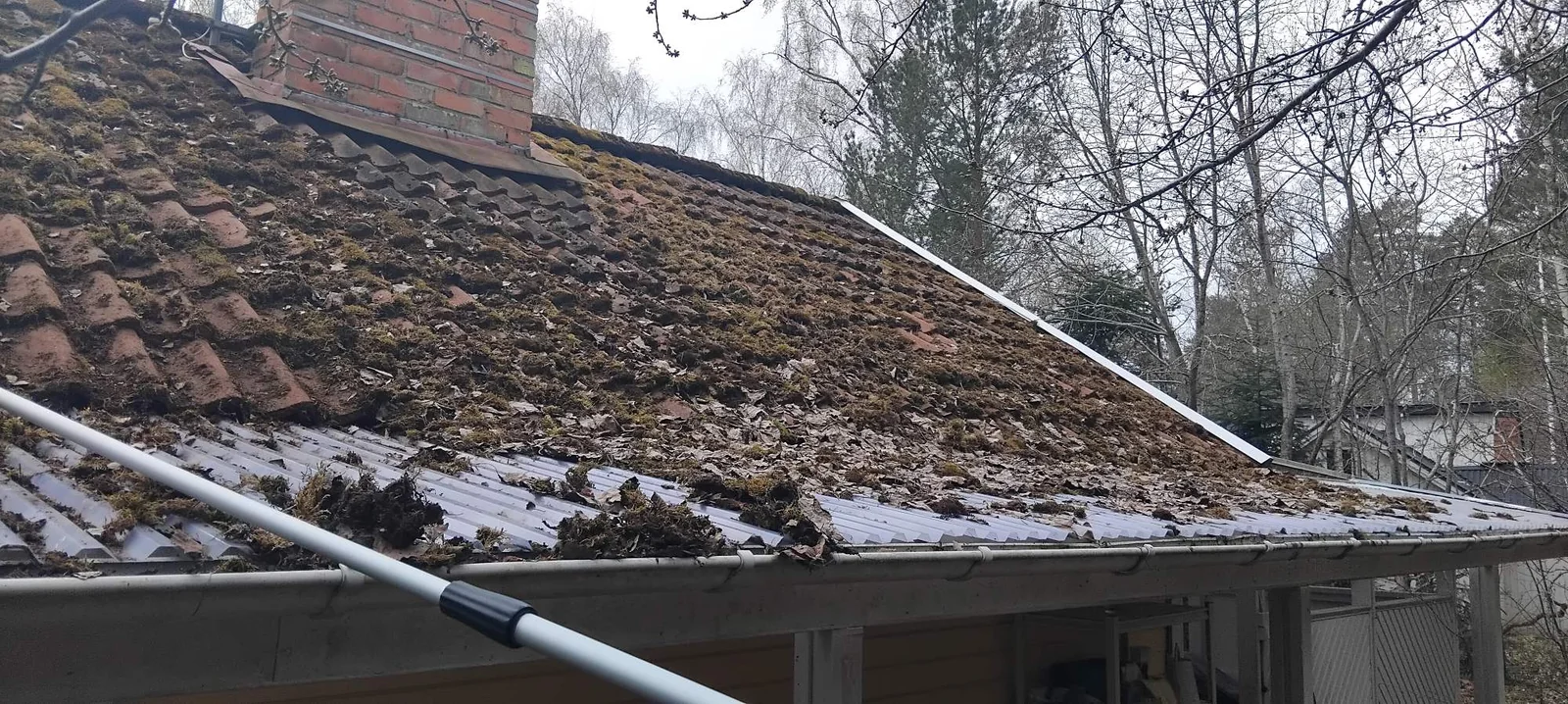 Kraftigt mossbelagt tegeltak med skrapade mossklumpar på plastvågtaket över verandan